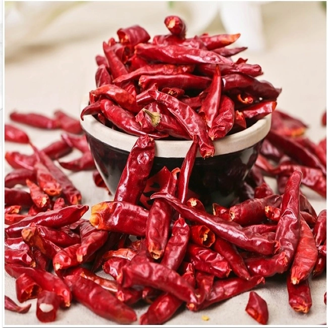 Guizhou Mantianxing Millet Pepper Dry Chili Hot Pot Seasoning Raw Material Spices